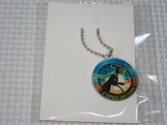 ポケモンアクリルキーホルダー 10%ジガルデ ポケットモンスターXY&Z★新品未使用 Pokémon