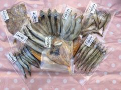 島根県松江市で作ったお買い得‼️干物・調理魚8種類セット‼️今ならおまけ付き‼️