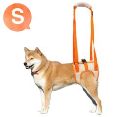 Item thumbnail for item 1a22cf8f-eace-472f-8c58-b7bddef38822