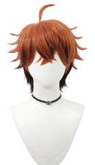 新品 wig 仮装 かつら コスチューム小物 ウィッグ かつら変装 耐熱 仮装 ハロウィン ブラック イベント ブラウン cosplay 北見遊征 撮影 コスプレウィッグ (北見遊征)