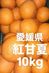 愛媛県産　紅甘夏　柑橘　　10kg