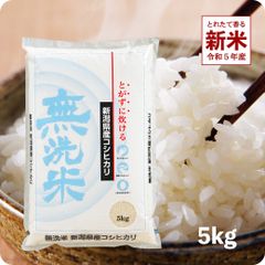 新米 新潟コシヒカリ5kg（無洗米） お米 令和5年産 白米