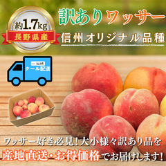 訳ありワッサー〜信州生まれの新食感フルーツ〜【内容量】約1.7kg【配送方法】クール配送【サイズ】ミックス【品目】ワッサー【品種】ミックス【産地】長野県【規格】ご家庭用B品【販売会社】有限会社青木青果