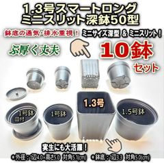 平日＊日中注文即日発送-New!＊小さく深めの1.3号スマートロング-ミニスリット深鉢50型-黒★スリット鉢★ぶ厚い高品質高機能ミニプラ鉢-10鉢＊多肉・塊根植物コーデックス・アガベ・サボテン・ハオルチア・アデニウム・パキポディウム・実生＠フラワーショップ江口