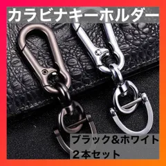Dリング 2個セット　カラビナ キーホルダー　車　キーリング　シルバー　ブラック