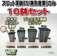 【送料無料　中古処分 】カネヤ スリット鉢 90型 1200個 カネヤ スリット鉢 90型 1200個｜Yahoo!フリマ（旧PayPayフリマ）