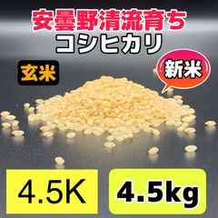 R4年産・新米【コシヒカリ玄米4.5kg】安曇野産自家製