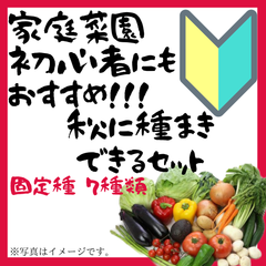 2023年度　初心者でも簡単！秋にまける野菜の種　7種類セット　固定種