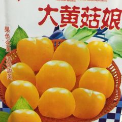 大粒 ほおずき 菇娘菓 菇娘 種30粒