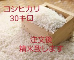 コシヒカリ 30kg 新米