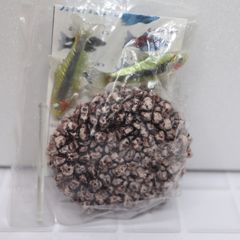 DG 熱帯魚　トッカーノテトラ　フィギュア　バンダイ