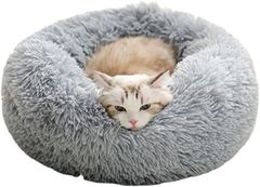 Item thumbnail for item 77da867d-e64c-4183-87fa-50c8c98b58f3