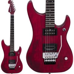 Washburn USA MG120 - メルカリ