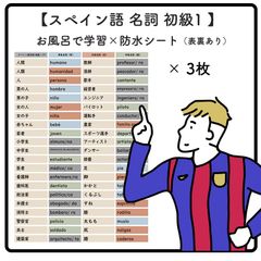 スペイン語 名詞 初級1   ×3枚  - お風呂で学習 x 防水シート