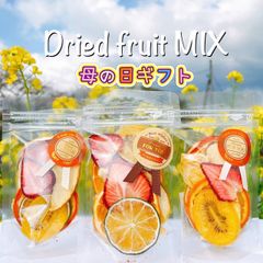 母の日ギフト【季節限定ドライフルーツMIX】いちご☆マンゴー☆キウイ☆パイナップル☆りんご☆自然の果物の甘味100% 無添加 無着色 砂糖不使用♪ 簡易ラッピング無料‼︎