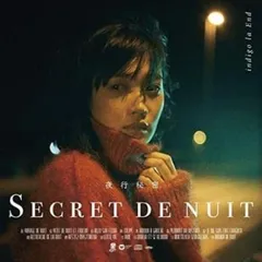 夜行秘密 通常盤 【CD、音楽 中古 CD】レンタル落ち