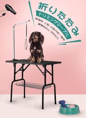 Item thumbnail for item 8fcf9cf6-a097-4478-ab50-1d441066b0d3