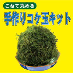 手作りコケ玉キット【あなたもコケ玉作りませんか？？】