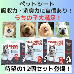 Item thumbnail for item a032d52c-7607-4a63-b4be-111725d257cf