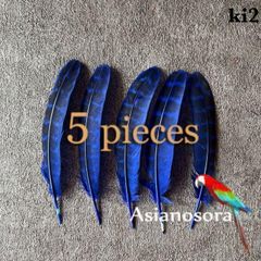 【ki2 青】5枚キジ 鳥の羽根 フェザー 素材 パーツ ドリームキャッチャー