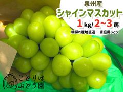 山梨県産 家庭用 シャインマスカット 3パック 箱込み1.2kg ⑤ - メルカリ