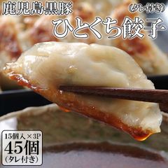【45個】鹿児島黒豚ひとくち餃子 パリパリでジューシー 箸が止まらない 黒豚肉 ブタ肉 惣菜 ギョウザ ぎょうざ pork vegetable gyoza