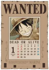 希少】ワンピース日めくりカレンダー2017、コミックカレンダー 365日