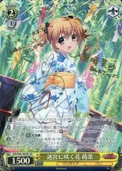 2025年最新】迷宮に咲く花 蒔菜 spの人気アイテム - メルカリ