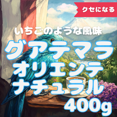 40杯分 グアテマラオリエンテナチュラル 自家焙煎コーヒー豆(フルーティー系)