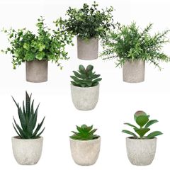 SALUDABLE フェイクグリーン 人工観葉植物 観葉植物 フェイク インテリア 7点セット