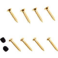 ビグスビー パーツキット Bigsby Parts Kit - All Mounting Screws Pack, Gold