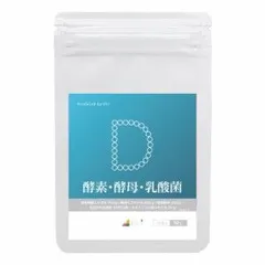 酵素 酵母 乳酸菌 サプリメント