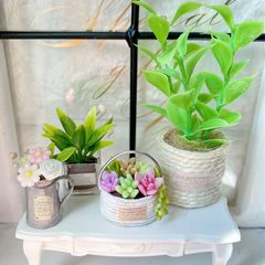 ＃473 ミニチュア インテリア ＊観葉植物⑬