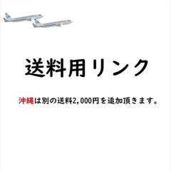 沖縄送料専用2000円