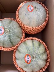 訳あり赤肉マルセイユメロン❗️北海道東北各県沖縄発送不可