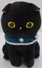 【中古】ぬいぐるみ 黒仔猫にゃん(青・口閉じ) BIGぬいぐるみ 「mofusand」
