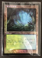 MH2 霧深い雨林　旧枠FOIL 日本語　モタホライゾン2 フェッチランド MH2 霧深い雨林 旧枠FOIL 日本語 モタホライゾン2 フェッチ