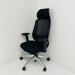 中古 S(美品)】Ergohuman PRO2(エルゴヒューマン プロ2) EHP2
