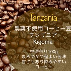 タンザニア　自家焙煎コーヒー豆　農薬不使用　100g