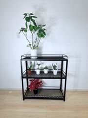ボタニカルシェルフ アイアン 観葉植物棚 アガベ育成棚 観葉植物 棚 アイアン アガベ棚 W800 3段