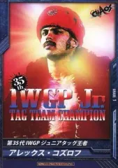 【中古】キング オブ プロレスリング BT06-019[C]：[コード保証無し]アレックス・コズロフ