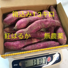 さつまいも　紅はるか