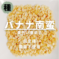 【種】バナナなんばん　黄辛こしょう　農薬不使用　15粒
