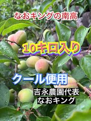 南高梅 クール便用 10キロ 6月15日以降 梅 なおキングの梅