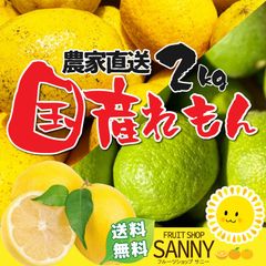 レモン 訳あり（1～7日以内発送）愛媛・広島県産 レモン2kg 送料無料（傷あり/不揃い） はちみつレモンに！ビタミン補給に！お酒に！ ※北海道・沖縄離島 発送不可