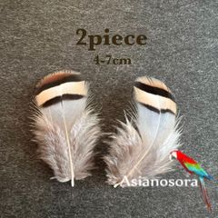 【SS4】2枚セット 羽根 フェザー 鳥 パーツ 材料 アクセサリー 素材