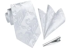 【大安売り】[ヒスデン] 結婚式 ネクタイ シルバー メンズ ネクタイチーフ セット ビジネス 3点セット タイクリップ 高級 ギフトボックス付き 紳士用 礼服用 入学式 卒業式 TA-004S