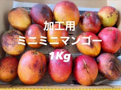 2025年最新】ミニマンゴーの人気アイテム - メルカリ