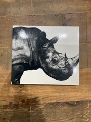 ミスターチルドレン Mr.Children 1992-1995 肉 ベストアルバム ［CD］