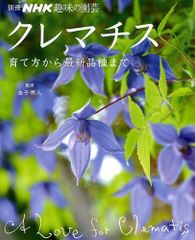 ☆クレマチス☆流星☆3号鉢☆希少☆入手困難☆ - メルカリ